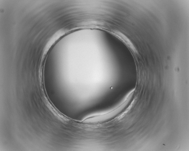 X0000060261196200511112013