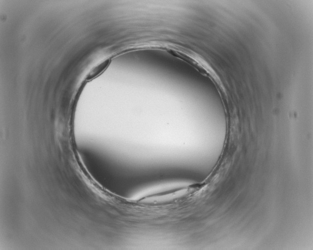 X0000060261197200511112013