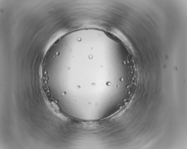 X0000060261198200511112013