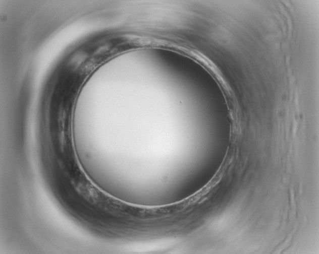 X0000060261199200511112013