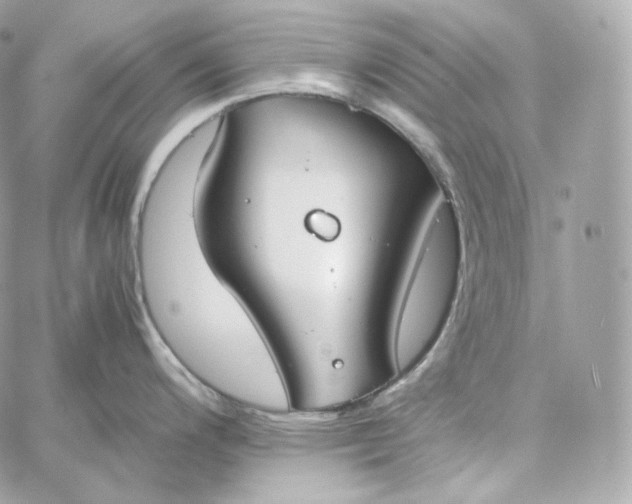 X0000060261200200511112013