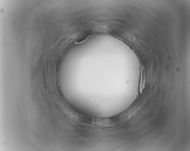 X0000060261201200511112012