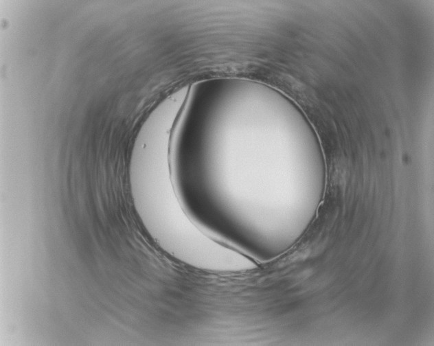 X0000060261202200511112012