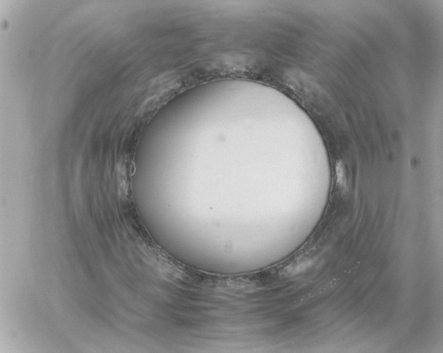 X0000060261203200511112012