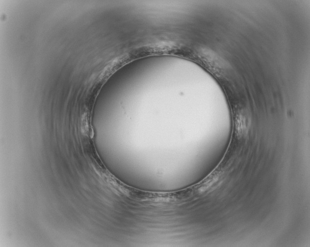 X0000060261204200511112012