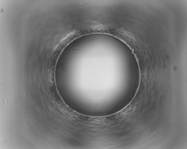 X0000060261205200511112012