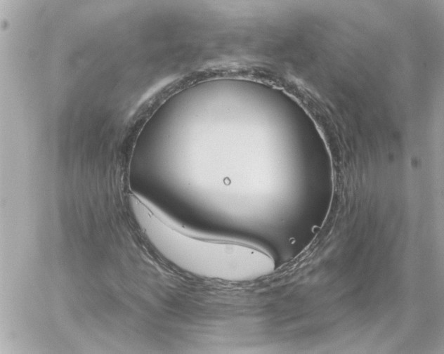 X0000060261206200511112012