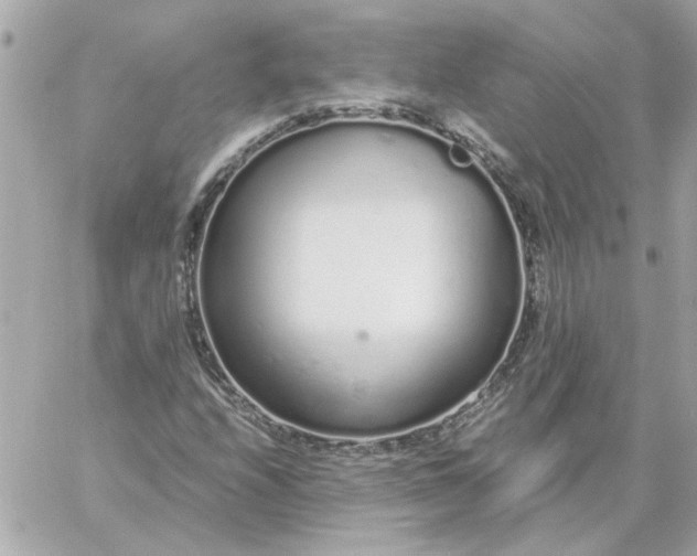 X0000060261208200511112012