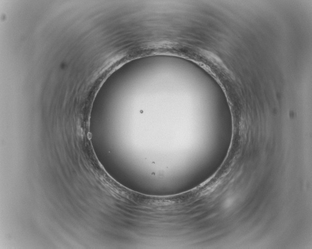 X0000060261209200511112012