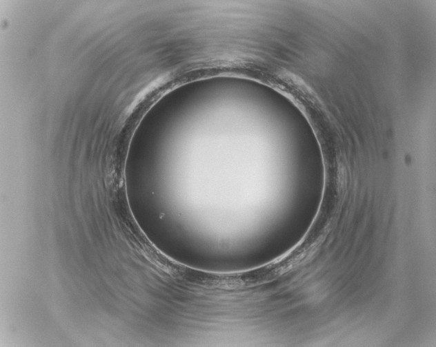 X0000060261210200511112012