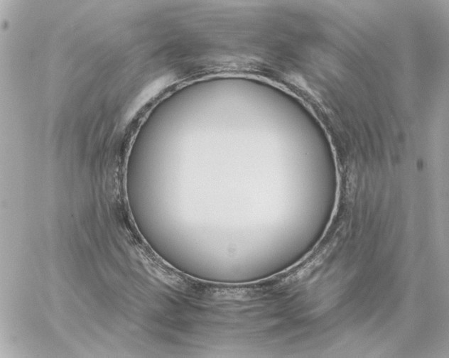 X0000060261211200511112012