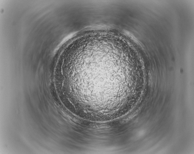 X0000060261213200511112012