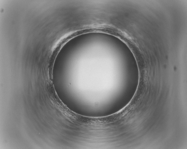 X0000060261214200511112012