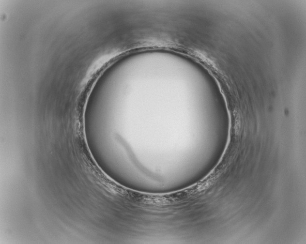 X0000060261215200511112012