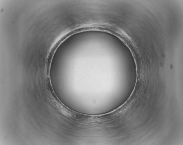 X0000060261216200511112012