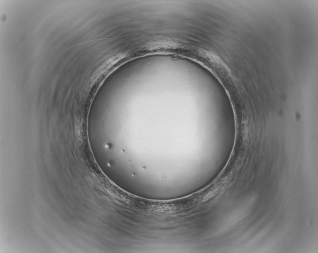 X0000060261217200511112012