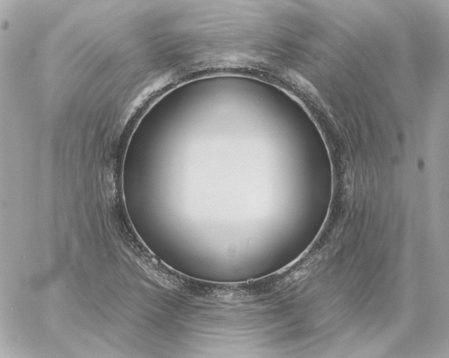 X0000060261218200511112012