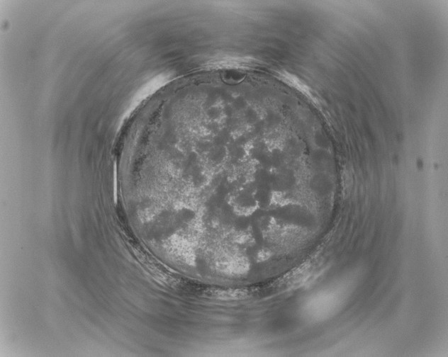 X0000060261219200511112012