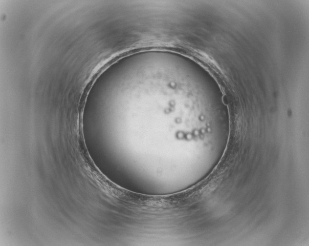 X0000060261220200511112012