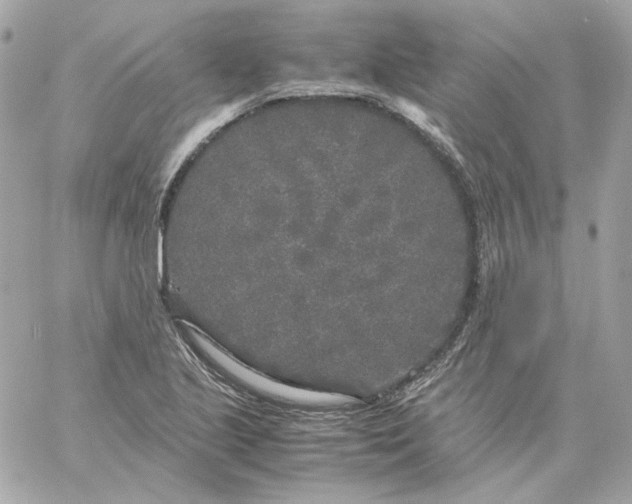 X0000060261221200511112012