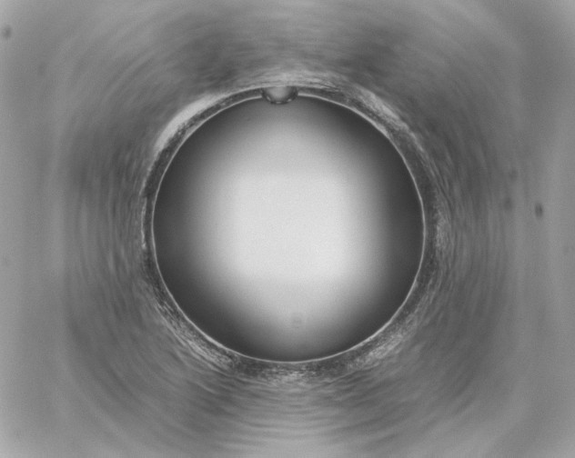 X0000060261222200511112012