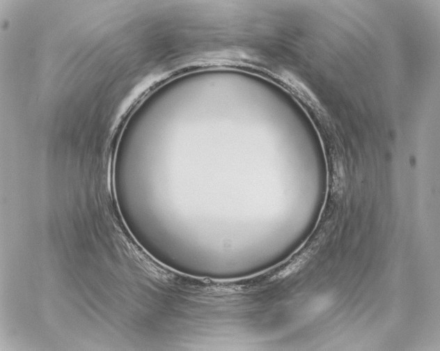 X0000060261224200511112012