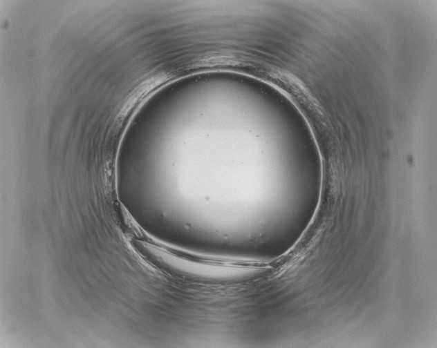 X0000060261225200511112012