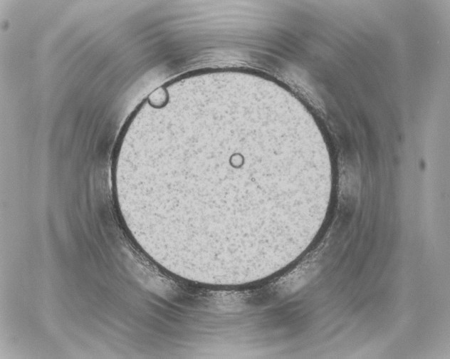 X0000060261226200511112012