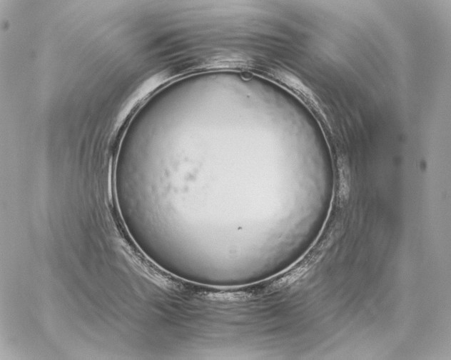 X0000060261227200511112012