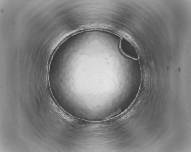 X0000060261228200511112012