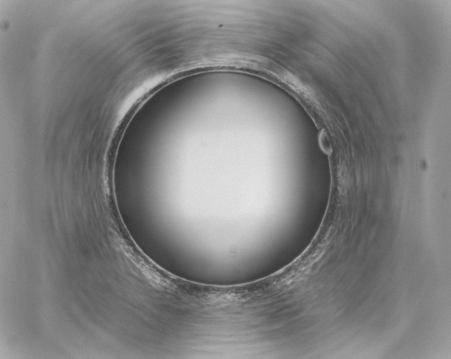 X0000060261230200511112012