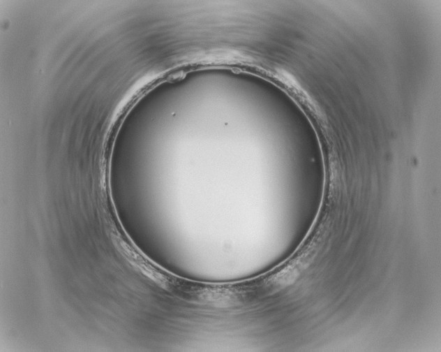 X0000060261232200511112013