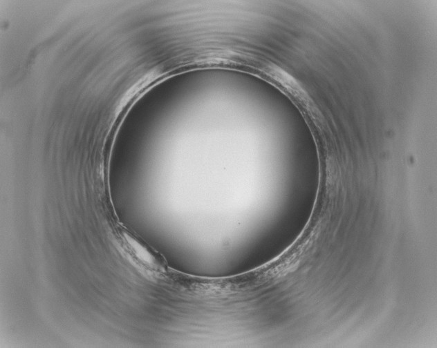 X0000060261234200511112013