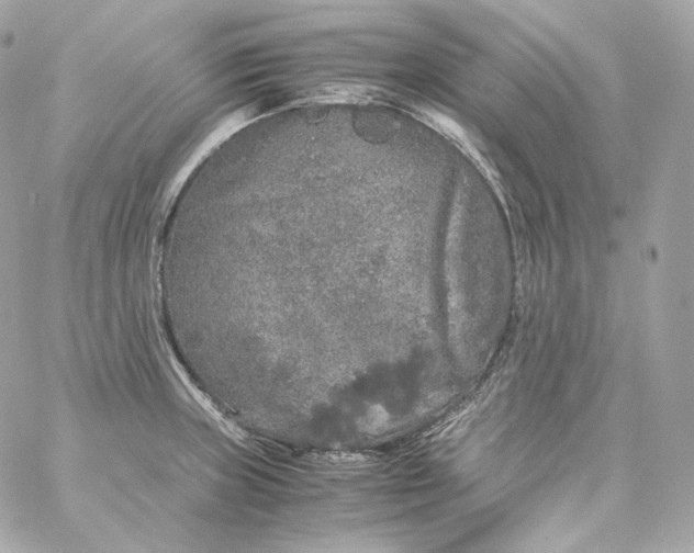 X0000060261235200511112013