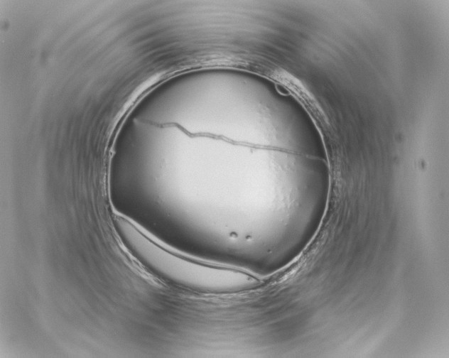 X0000060261236200511112013