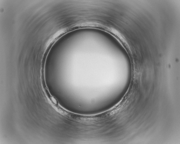 X0000060261237200511112013