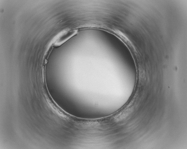 X0000060261238200511112013