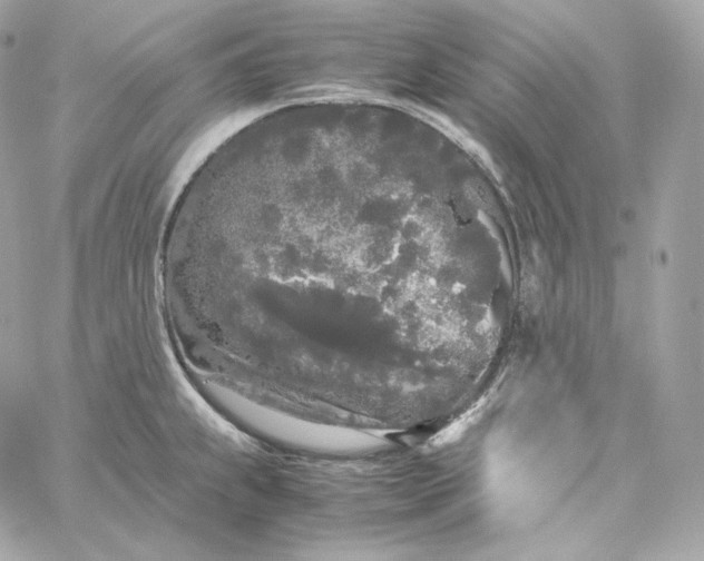 X0000060261239200511112013