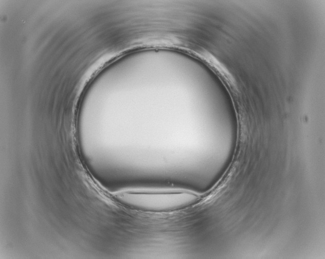 X0000060261240200511112013