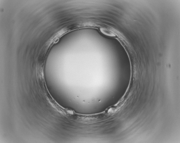 X0000060261241200511112013