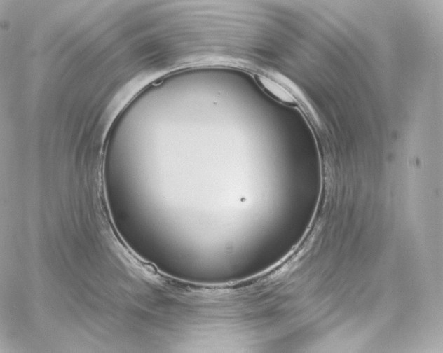 X0000060261244200511112013