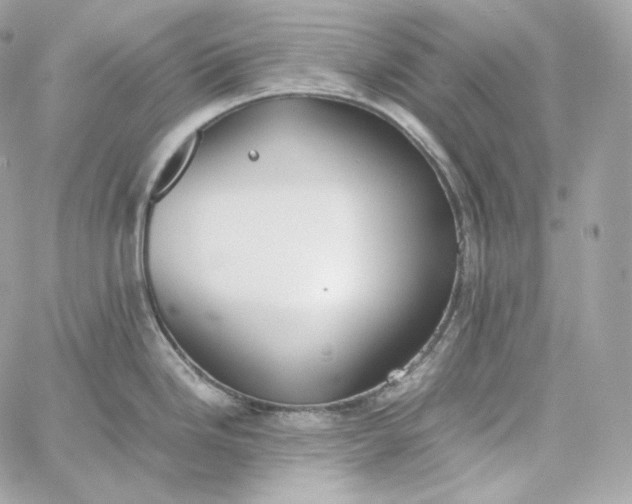 X0000060261246200511112013