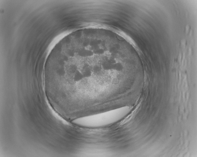 X0000060261247200511112013