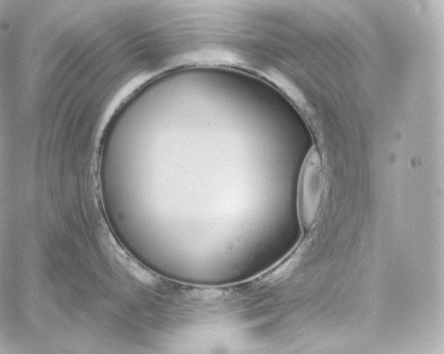 X0000060261248200511112013