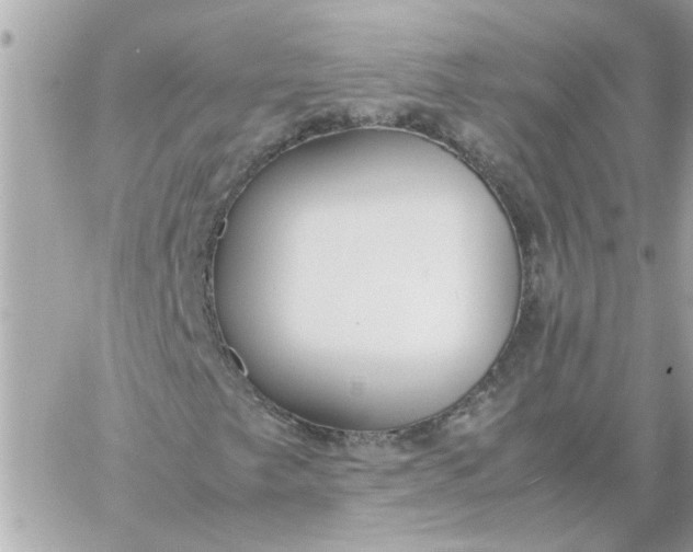 X0000060261249200511112012