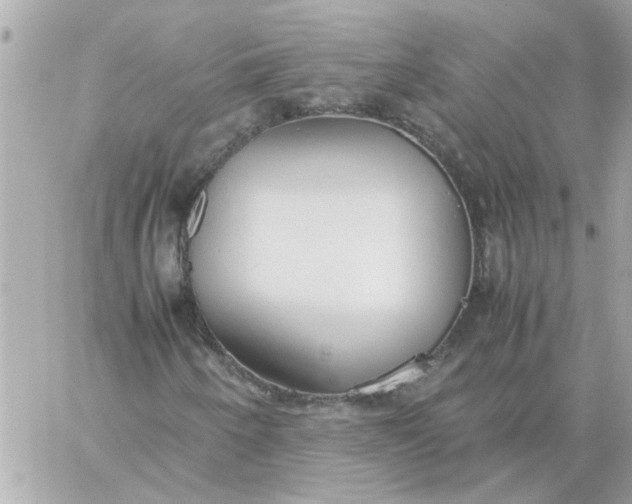 X0000060261250200511112012