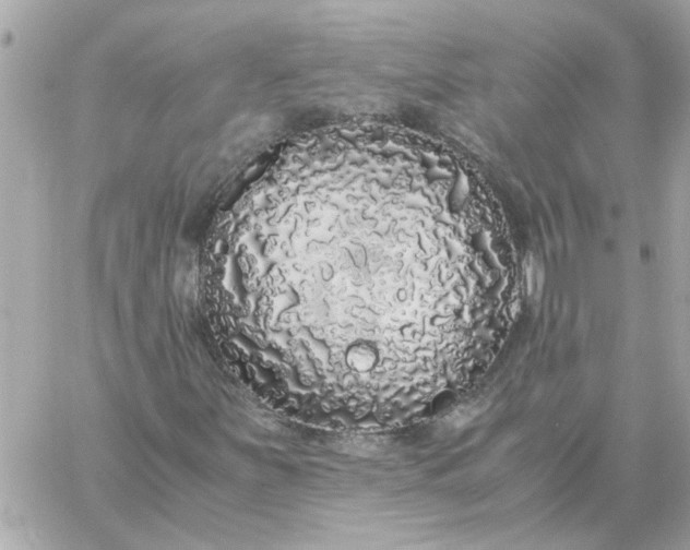 X0000060261251200511112012