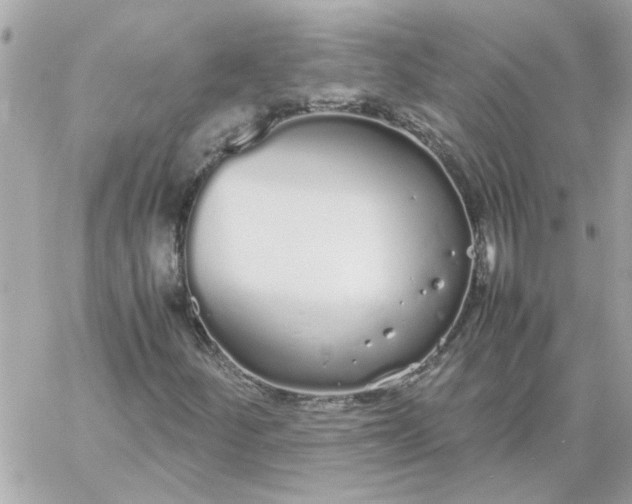 X0000060261252200511112012