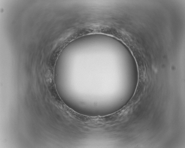 X0000060261253200511112012