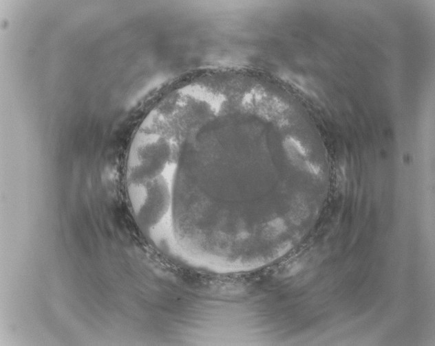 X0000060261254200511112012